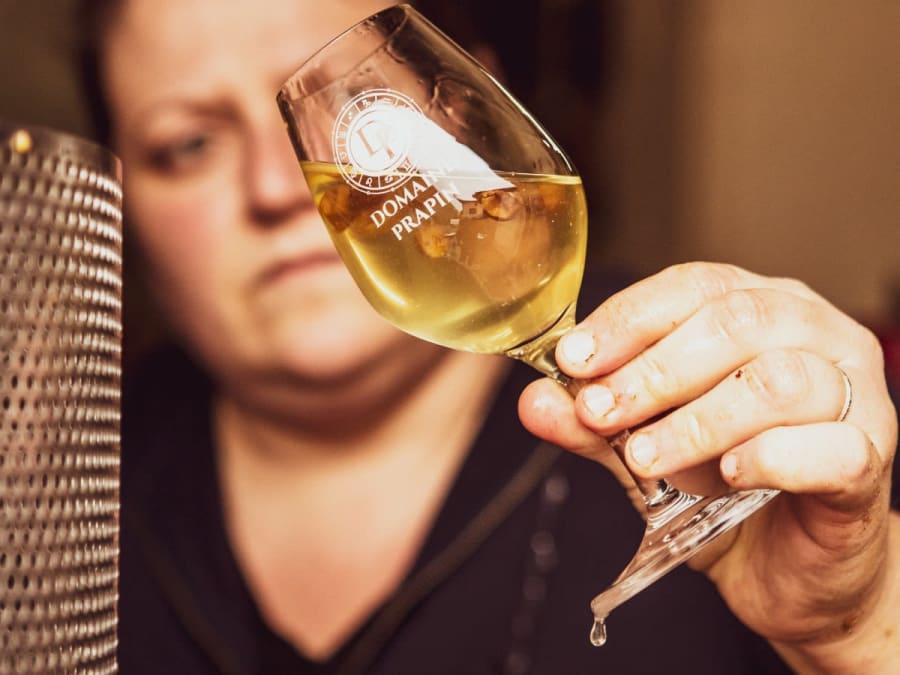 Visite et dégustation de vins à Taluyers (69)
