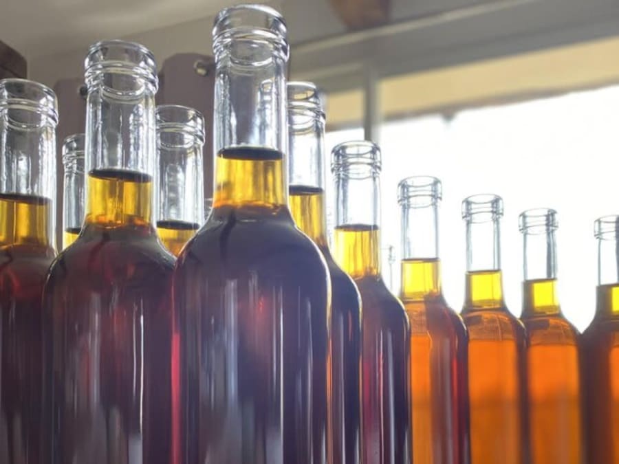 Degustazione di idromele presso gli apicoltori di Lourdes (65)