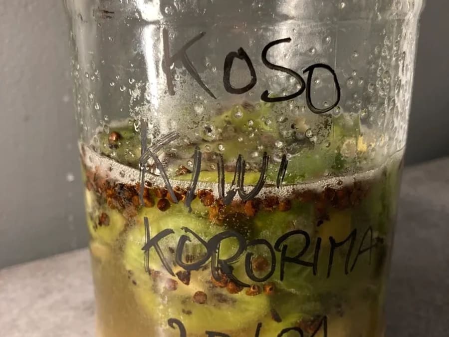 Soda and fermented syrup creation workshop in Toulouse (31)