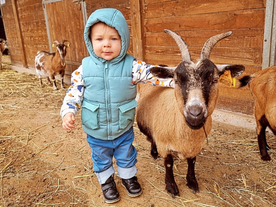 Ticket for Parc Saint Léger Parc Animalier (60)