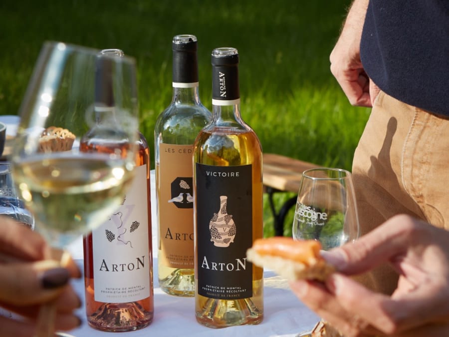 Private tour & wine or Armagnac tasting at Château d'Arton in Lectoure (32)