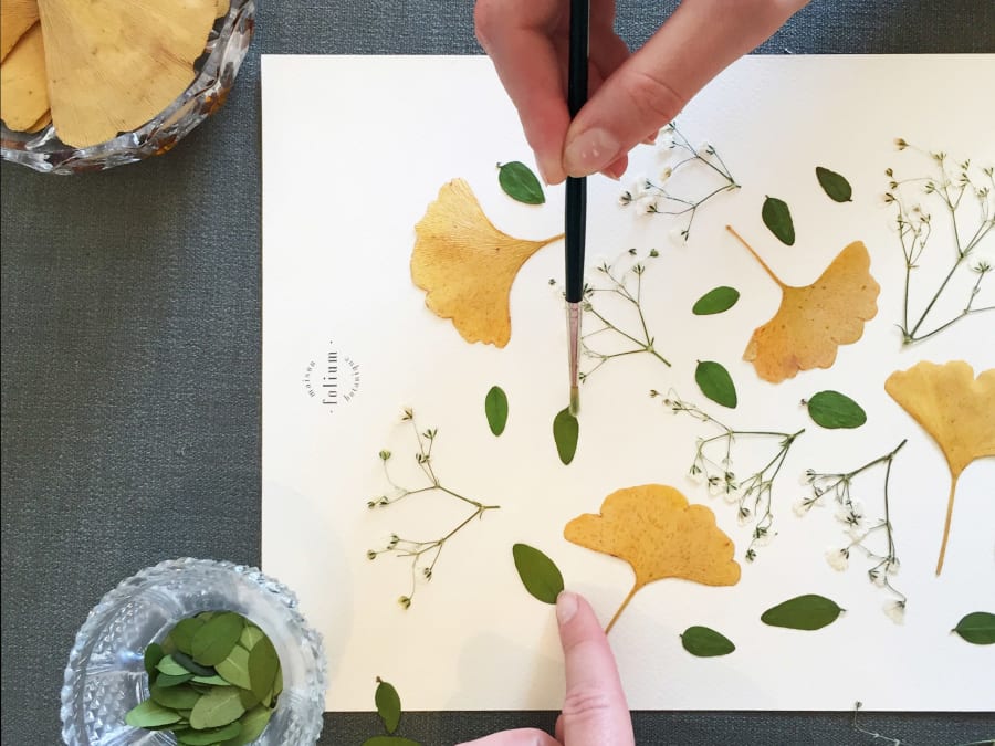 Team Building Composition d'herbier à Marseille (13)