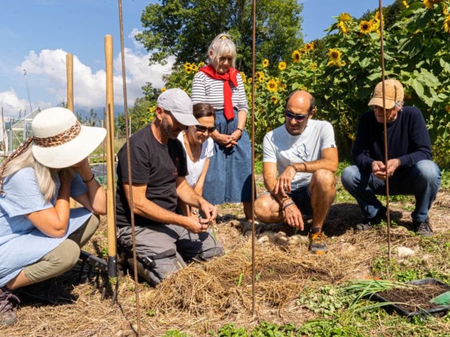 Crea tu propio huerto de permacultura en Annecy (74)