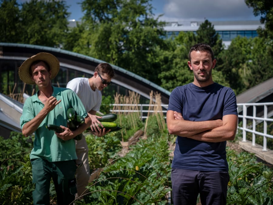 Team building ateliers  à la ferme à Paris 15ème