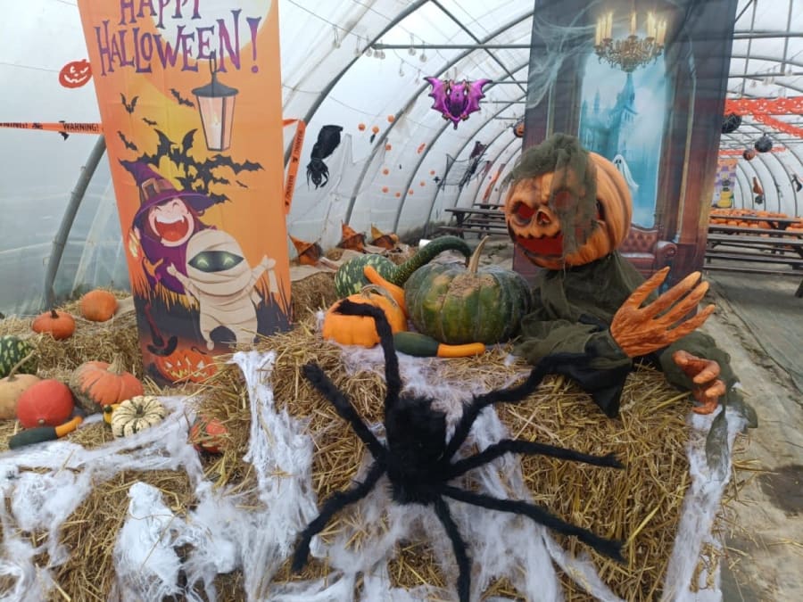 Atelier citrouille d'Halloween à la Cueillette de Beaurains (62)