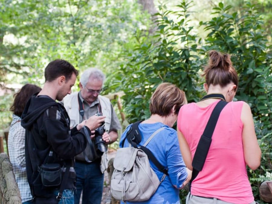 Cours de photo "Sortez du mode Automatique !" à Toulouse (31)