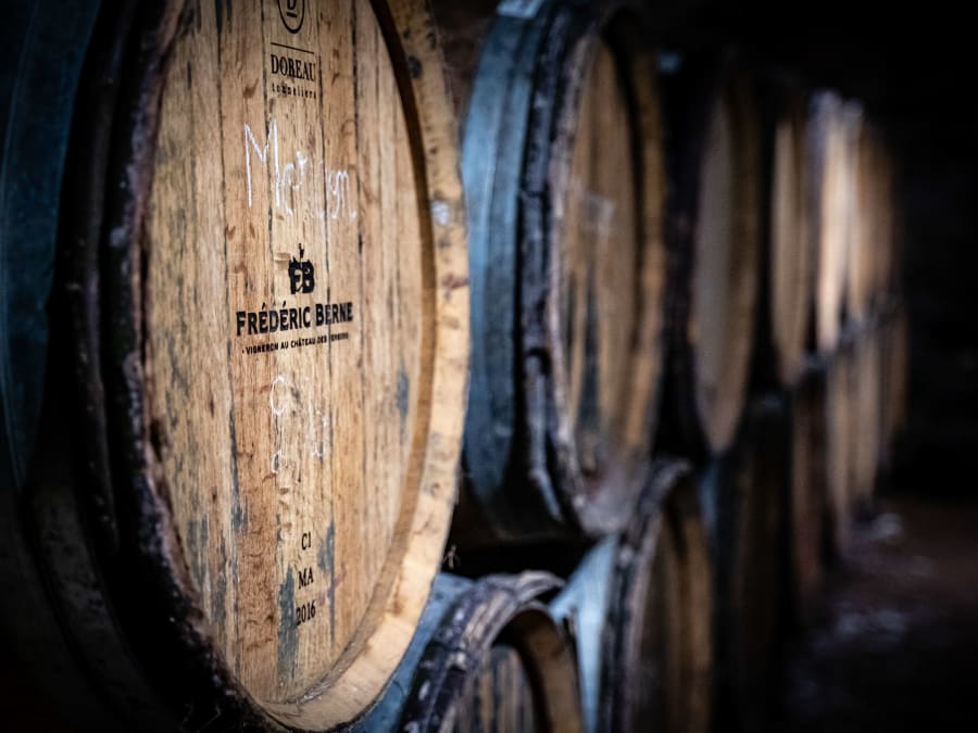 Treasure hunt in the vineyards at Lantignié (69)