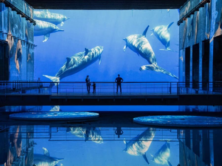 Entradas para los Bassins des Lumières en Burdeos (33)