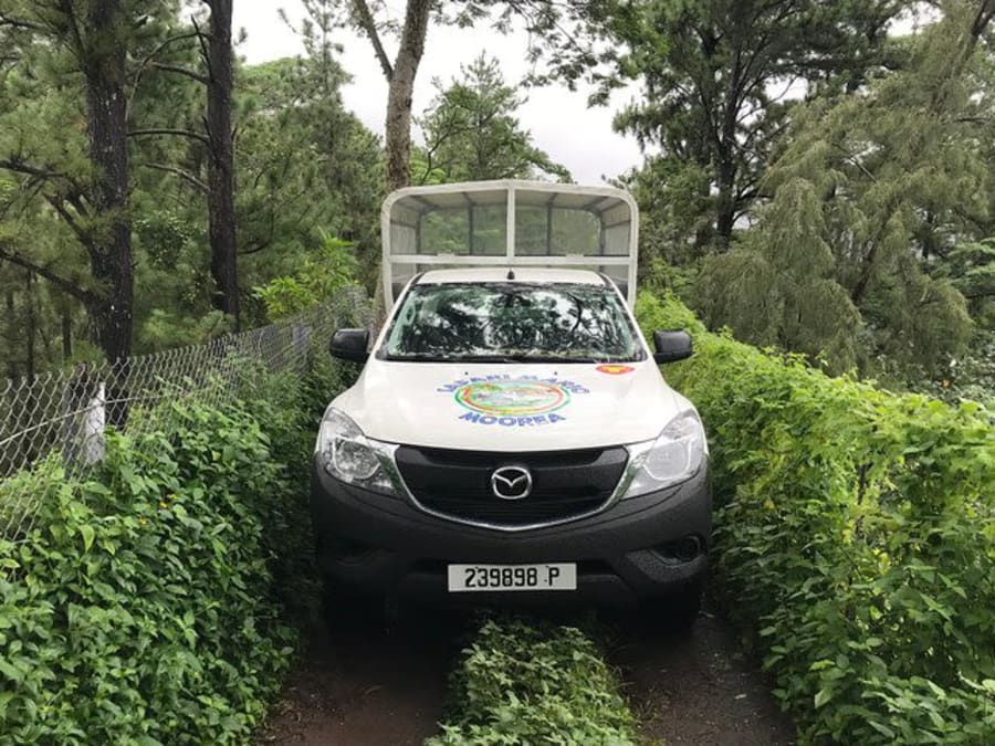 Tour privé de Moorea en 4x4 Montagne Magique, champs d’ananas & Belvédère