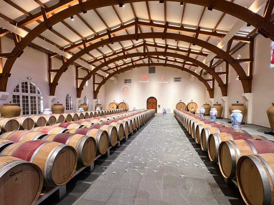 Tarde de visita y degustación en Saint-Emilion (33)