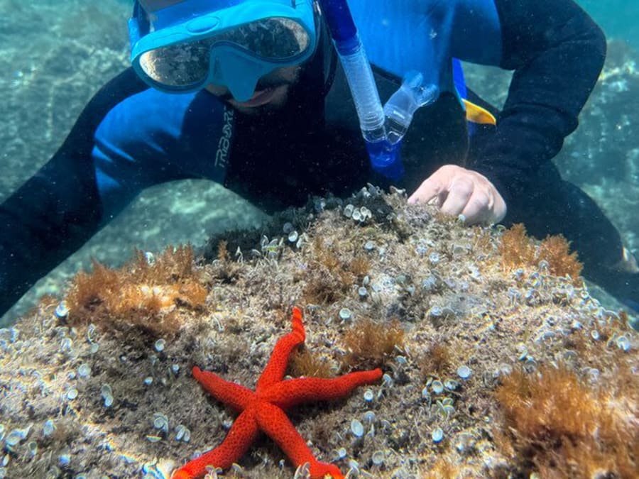 Dia de caiaque e mergulho com snorkel na Costa Brava, partindo de Barcelona