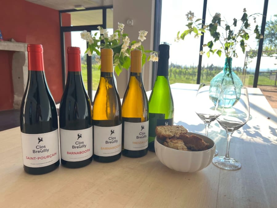Visite et dégustation de vin du domaine du Clos de Breuilly à Cesset (03)