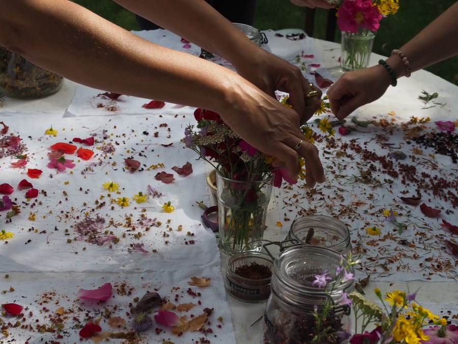 Atelier d'initiation à la teinture végétale à Montauban (82)