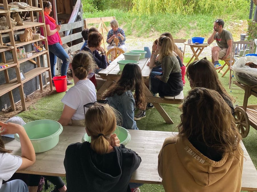 Alpaca discovery and wool workshop in Sanzay (79)