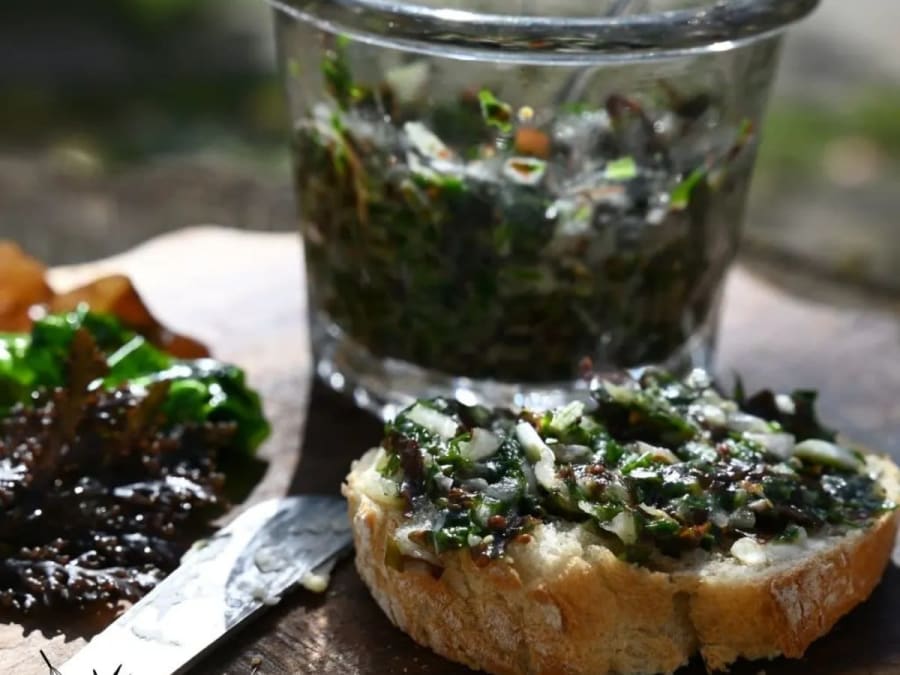 Aperitif discovery of wild plants in Saint Lyphard (44)