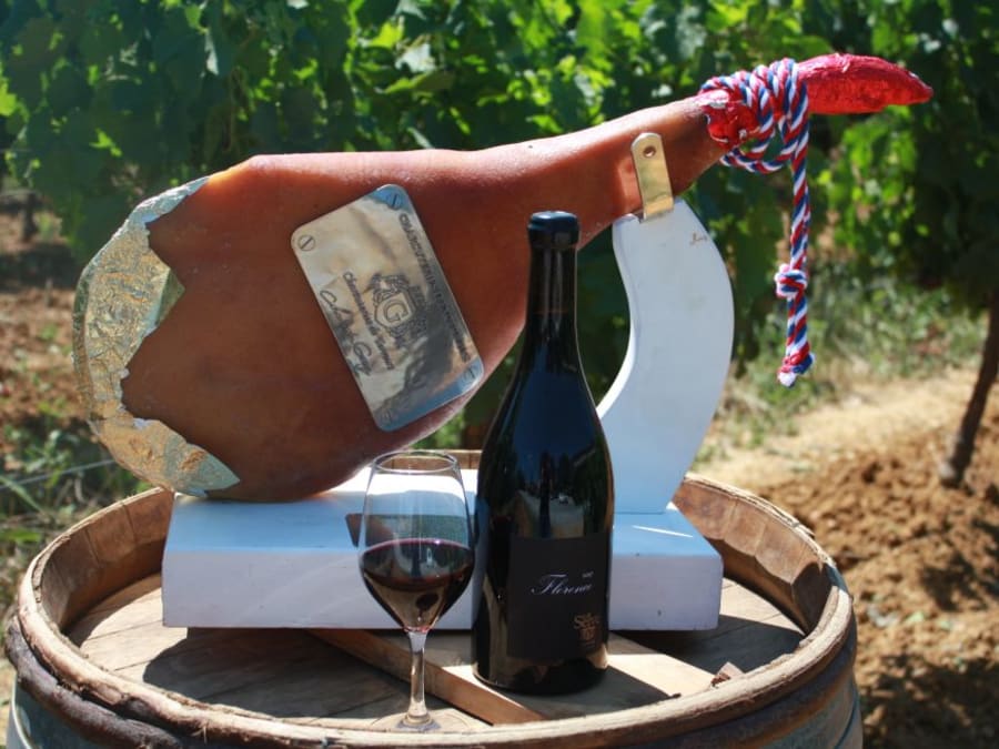 Accords mets & vins Ardéchois au domaine de la Selve (07)