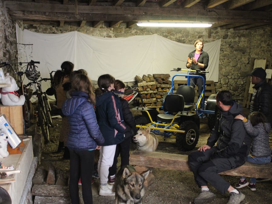 Day with sled dogs at Oloron-Sainte-Marie (64)