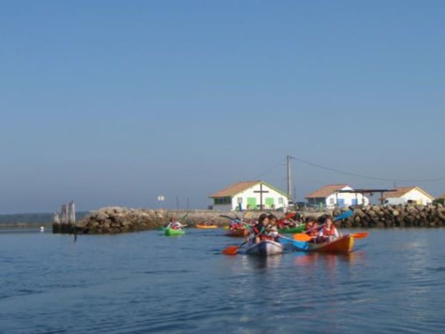 Escursione botanica in kayak nei Prés Salés del Bacino di Arcachon