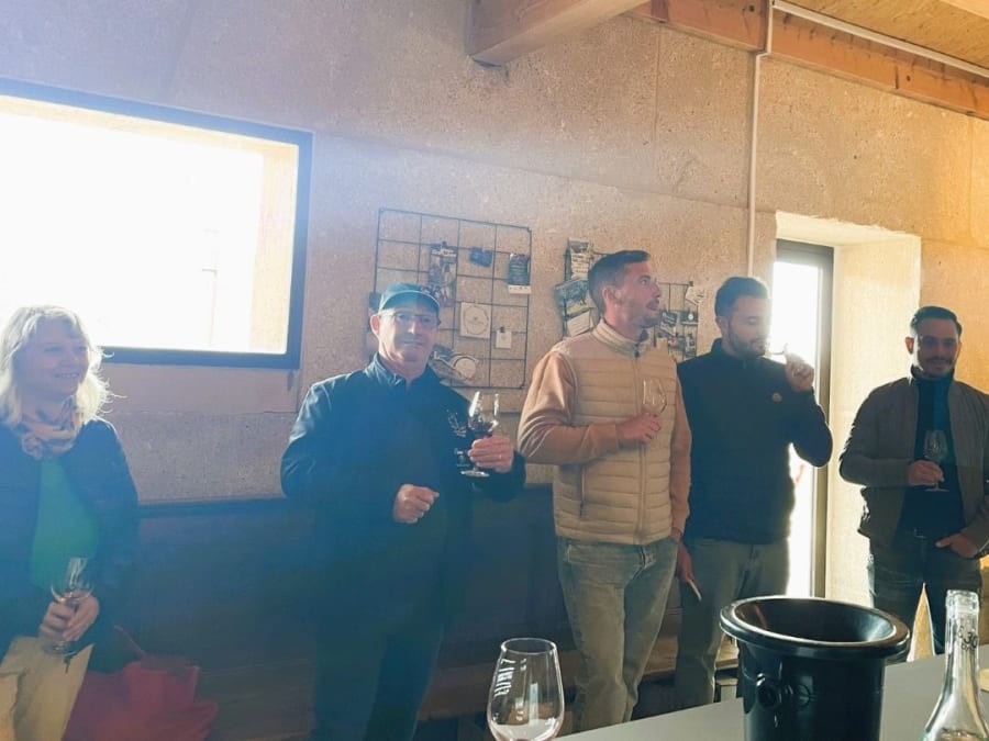 Visite Et Dégustation De Vins Au Pic Saint-Loup (34)