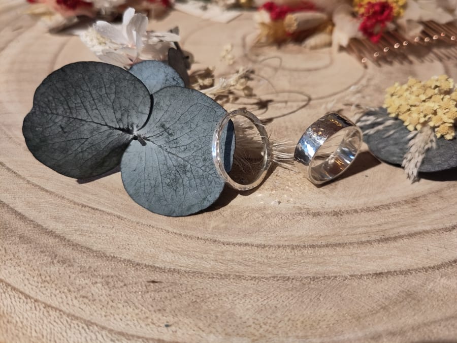 Alliances creation workshop in Nantes (44)