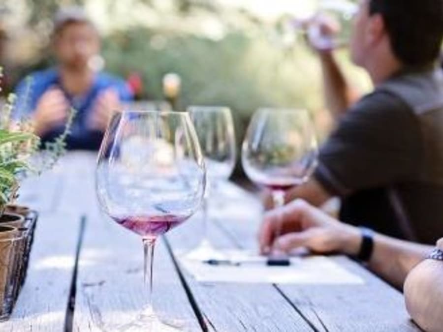 Visite guidée découverte des vignobles au pays de Cézanne (13)