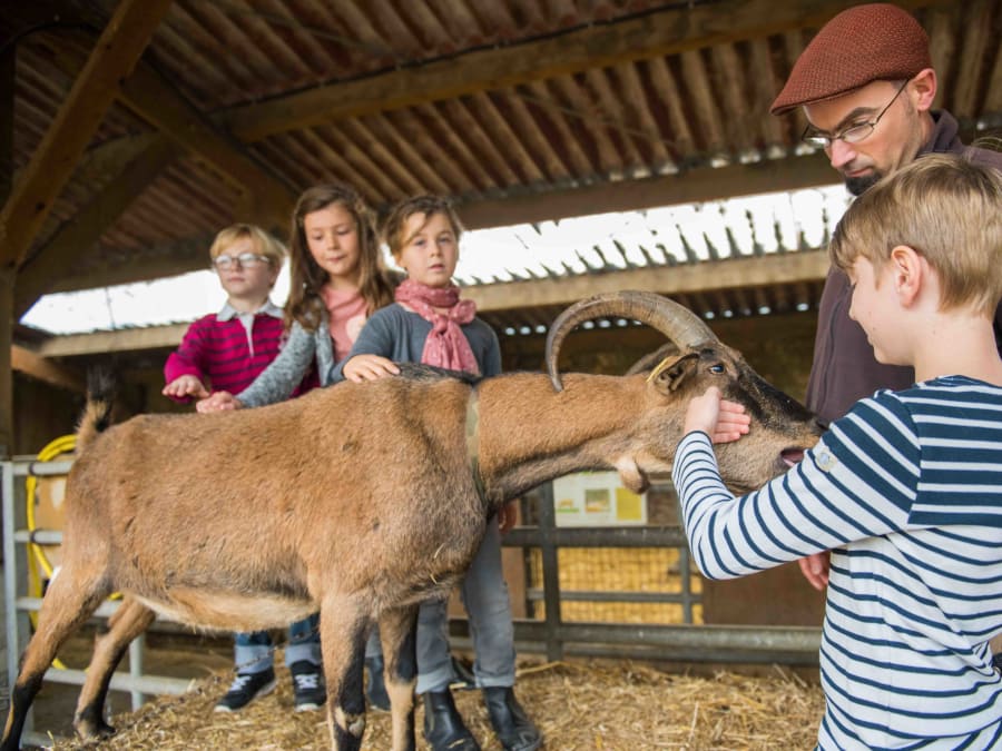 Taller de pan y animales en la Ferme de Gally de Saint-Cyr