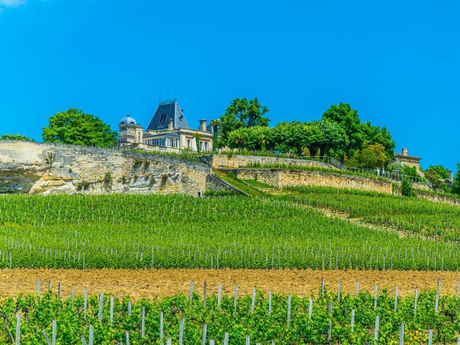 Visita privada a los viñedos de Saint-Emilion en 2CV