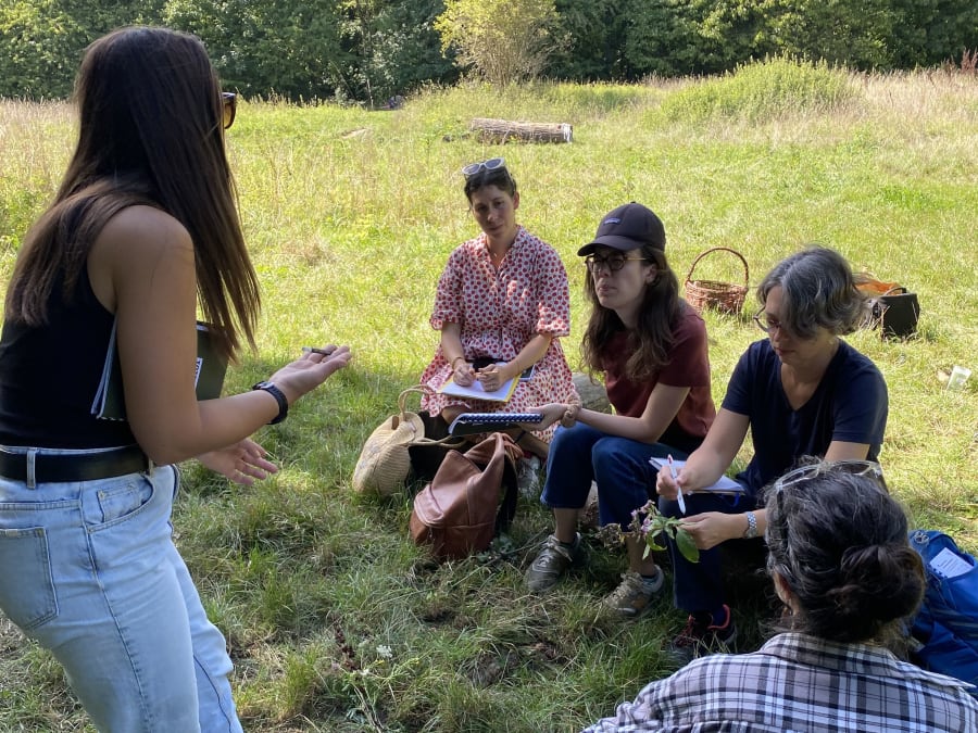 Descubra las plantas silvestres del Bosque de Vincennes