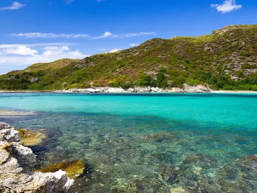 Croisière en demi-journée avec repas depuis Saint-Florent (20)