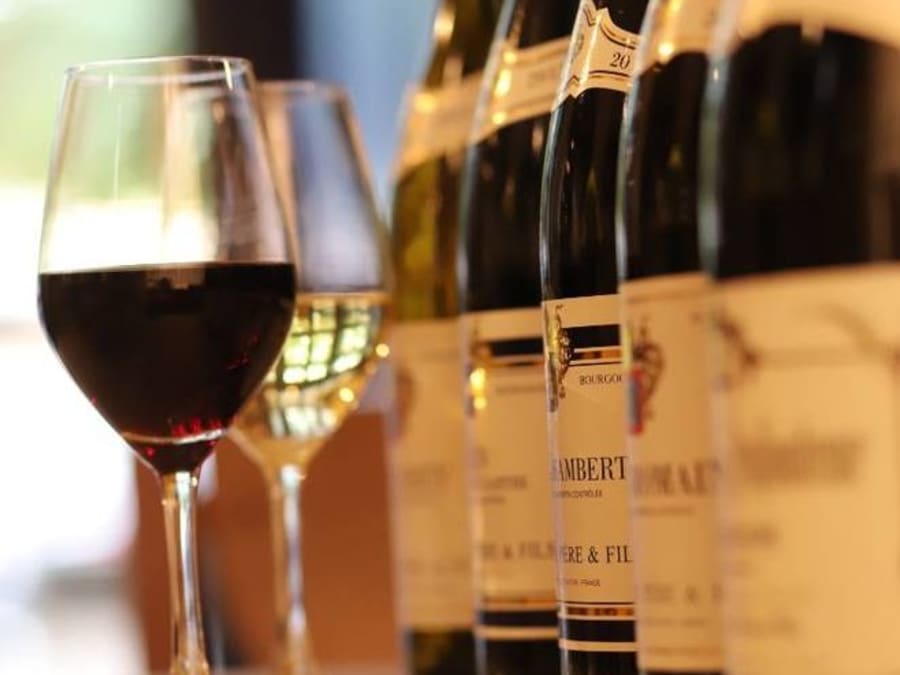 Visite d'une cave et Dégustation de Vins de Bourgogne (21)