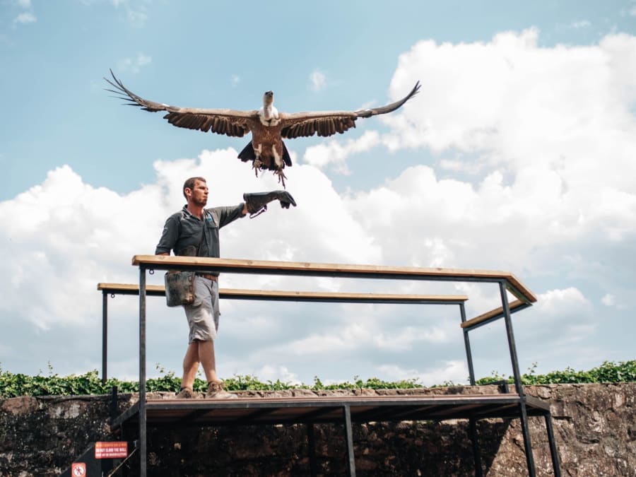 Pass Zoo & Aquarium | +90 sites en France