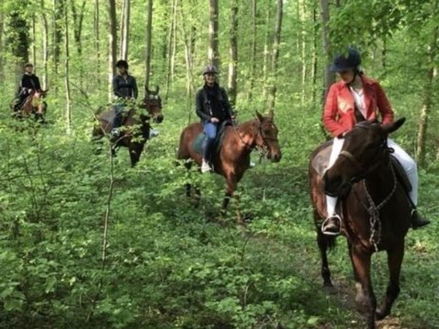Balade à cheval en forêt de Chantilly (60)