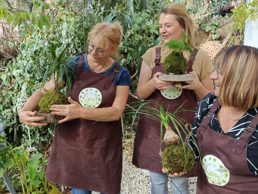 Atelier kokedama à Toulouse (31)