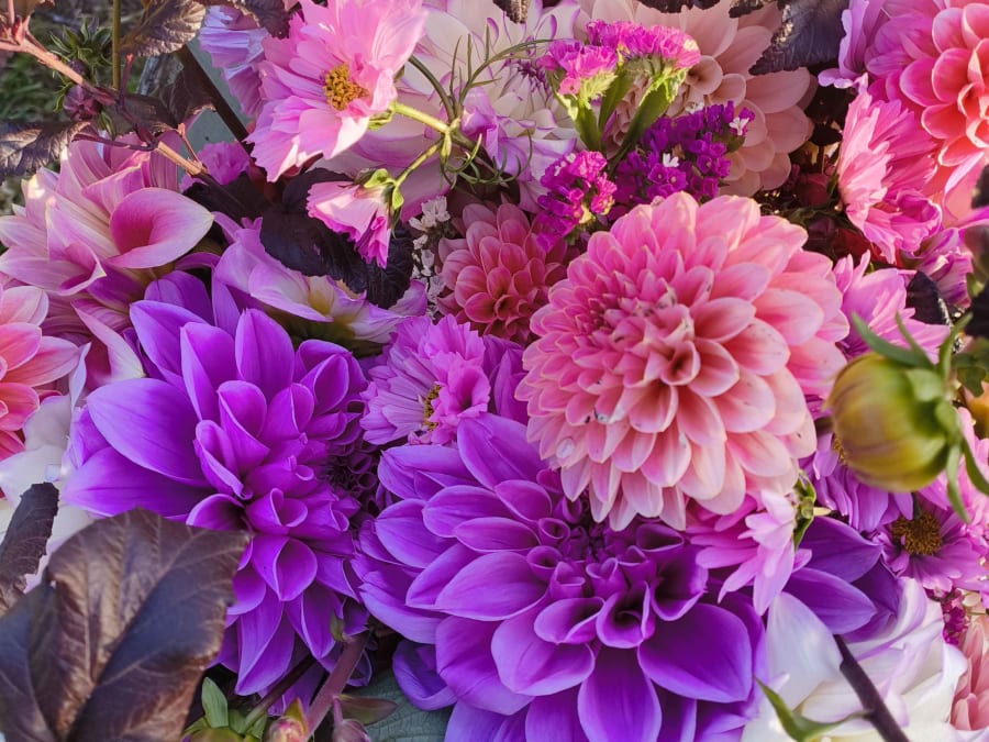 Team Building atelier créations florales à La Ségalassière (15)