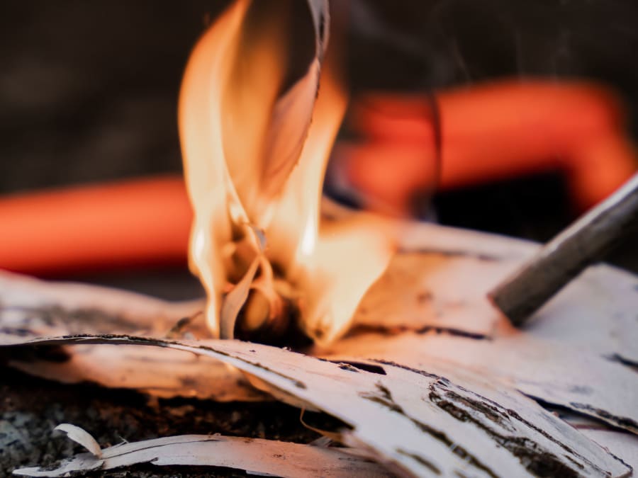 Stage de survie EVG/EVJF dans les Vosges (88)