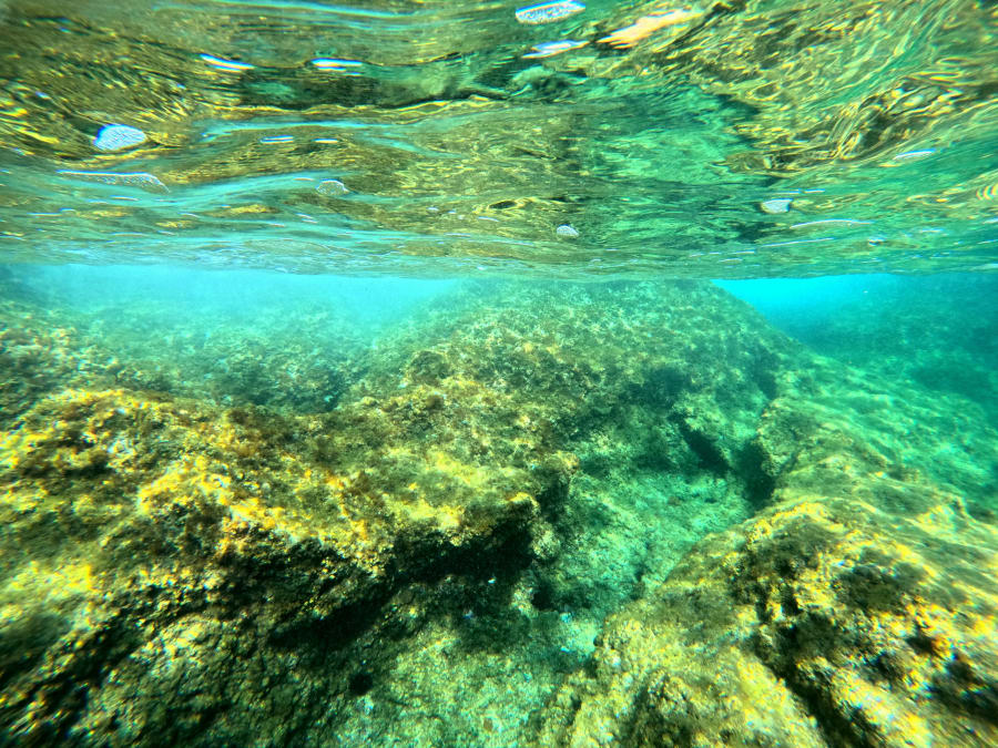 Snorkeling on the Côte Bleue near Marseille