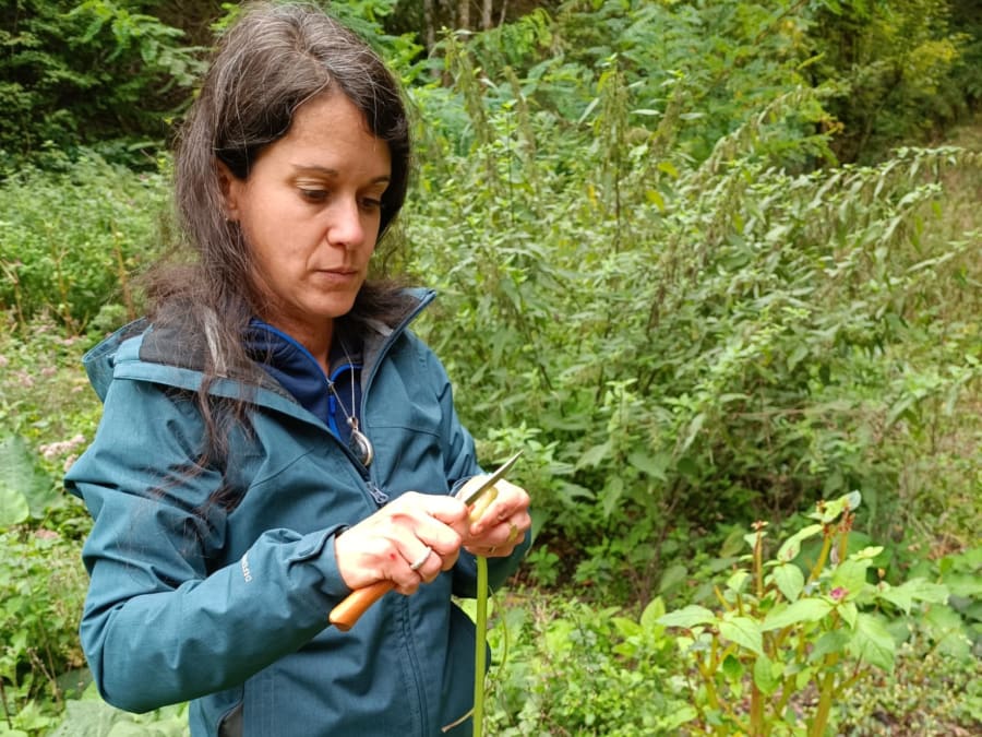 Paseo por la naturaleza y clase de cocina vegetariana en Grandfo