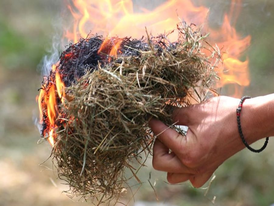 Initiation aux savoir-faire primitifs dans la Forêt de Marly