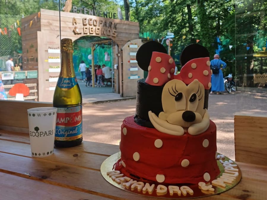 Anniversaire Accro Spider 2-12 Ans À Meudon (92)