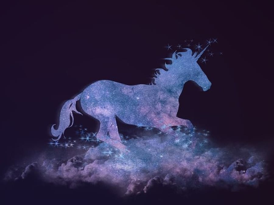 Anniversaire Licorne 3 7 Ans A Domicile Funbooker