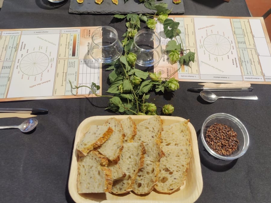 Team Building atelier soirée accords bières et fromages dans toute la France
