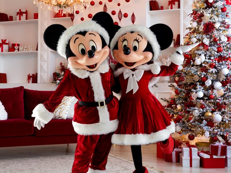 Intervention de Mascotte Mickey et ses amis en Ile-de-France