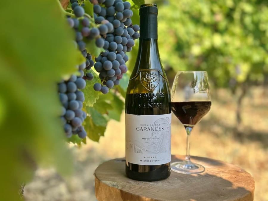 Wine tasting workshop at Domaine des Garances (84)