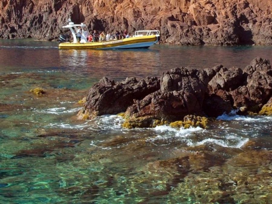 Tour en bateau 3h "L'inoubliable" depuis Porto
