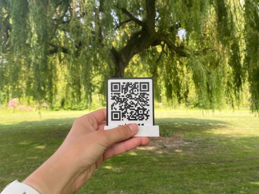 Team Building chasse aux trésors 