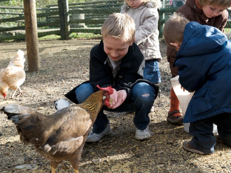 Making Wreaths & Animals at Sartrouville Farm