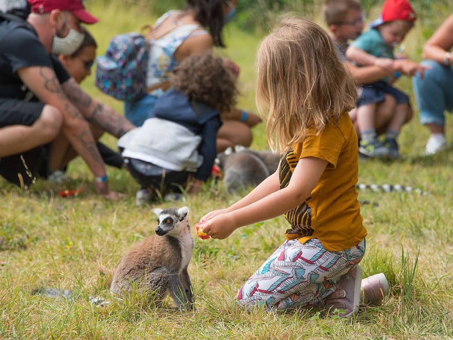 Billet pour Lumigny Safari Réserve (77)