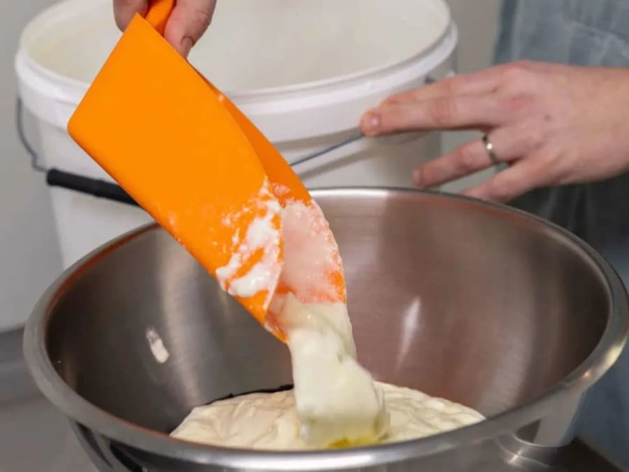 Workshop to make your own Halloumi in Bordeaux (33)