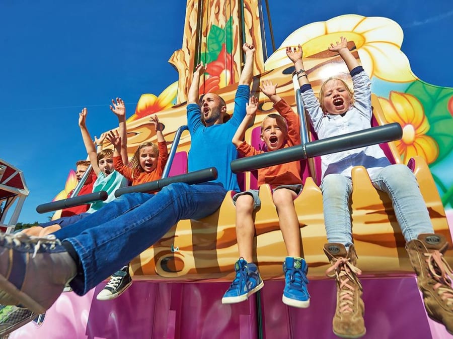 Billet pour le Papéa Parc  (72)