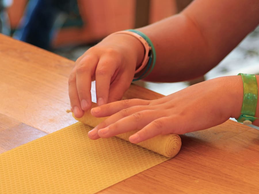 Hiver Merveilleux workshops at the Saint-Denis Open Farm